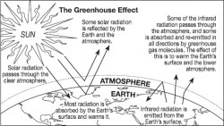10. The greenhouse effect