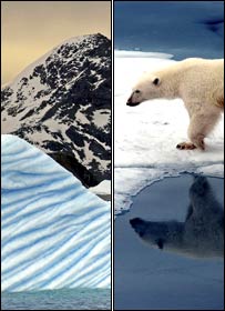Antarctica (Photo: BBC) and polar bear in Arctic (Photo: Science Photo Library)