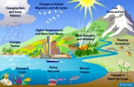 Climate change factors, which include global warming (epa.gov)