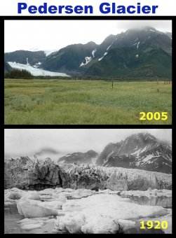 Comparison of Pedersen Glacier from 1920 to 2005