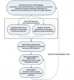 Figure 1 A basic framework for conducting Ecological Risk Assessment (adapted from US EPA1998)
