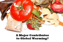 food waste is a cause of global warming