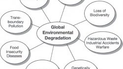 J. Major manifestations and consequences of global environmental degradation Source: Author