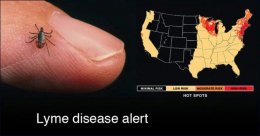 Lyme disease alert