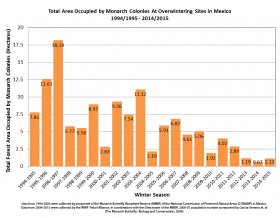 Monarch populations have plummeted over the last 20 years. Chart via Monarch Joint Venture.