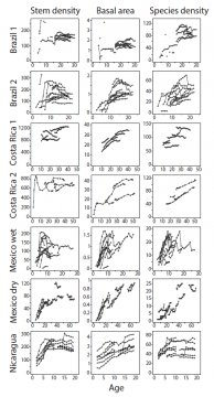 Observed successional trajectories of stem density, basal area and species density for the sites used by Norden et al.