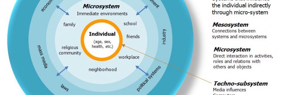 Bioecological Model of Human development