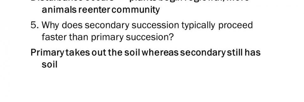 Describe the process of ecological succession