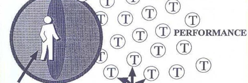 Ecology of Human performance