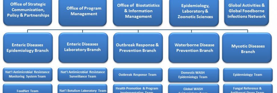 Environmental Diseases