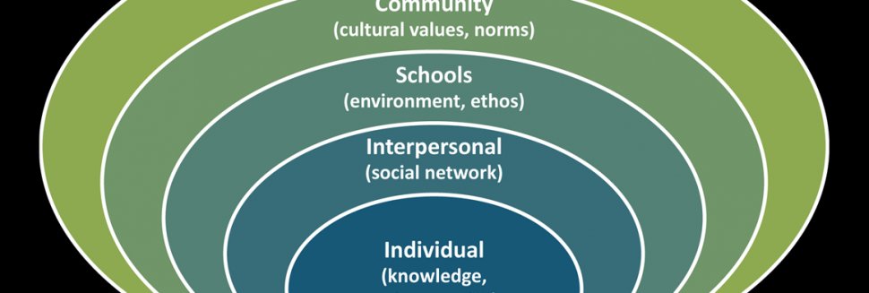 Urie Bronfenbrenner ecological theory of Human development