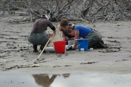Students working on the beach