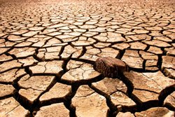 The effects of climate change will likely include more frequent droughts in some areas and heavier precipitation in others.
