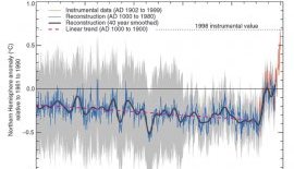 The hockey stick chart of temperature in the Northern Hemisphere over the past 1000 years (IPCC via math..ucr.edu)