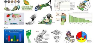Ecological footprint for students