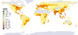Ecological footprint Sustainability