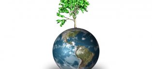 Ecological globalization