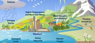 Signs of global climate change