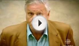 Attenborough - The truth about climate change