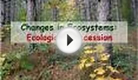 Changes in Ecosystems: Ecological Succession