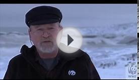 Climate Change & Arctic Warming - World Wildlife Fund
