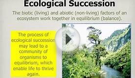 Ecological Succession