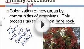 Ecological Succession Notes