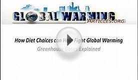 Global Warming Articles