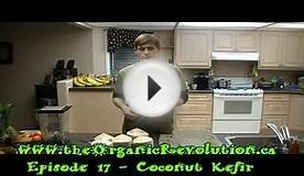 How to make the Body Ecology Coconut Kefir