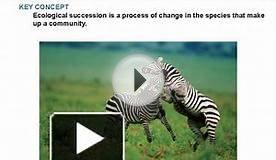 KEY CONCEPT Ecological succession is a process of change