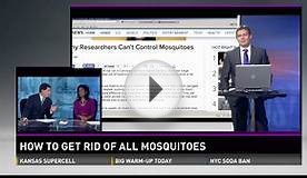 Should we kill off all mosquitoes in the world?