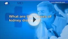 What Are The Causes Of Kidney Diseases? -DesiMD