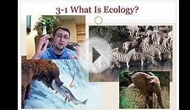 What is Ecology?