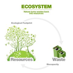 What is an Ecological Footprint?